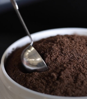 Vanilla powders