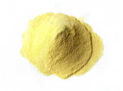 Specific Flavour Notes Yeast Extract