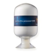 Lactobacillus paracasei CH88