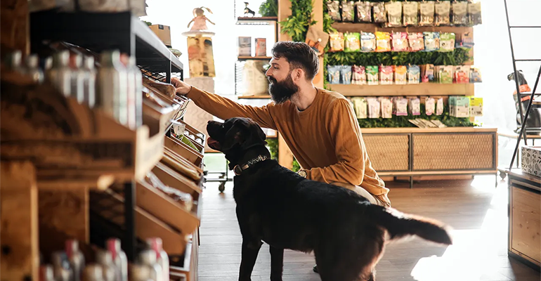 The future of pet food: Innovation, sustainability, and consumer trust