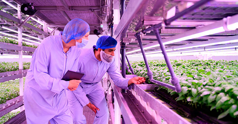 Foodtech frontiers: Scientific solutions for tomorrow's industry