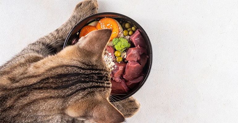 Staying on top of pet food trends