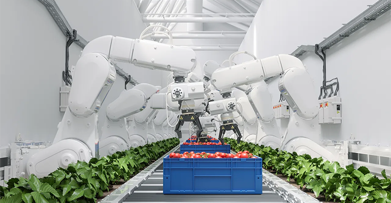Industrial innovations: Food manufacturing in the spotlight