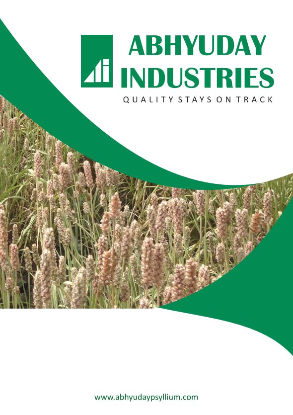 Abhyuday Industries Brochure