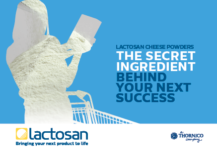 Lactosan Cheese Powder - The Secret Ingredient Behind Your Next Success