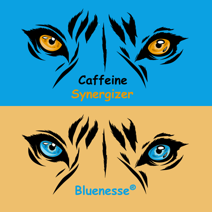 Nutritional support for sporties & e-gamers -  Caffeine Synergizer with Bluenesse®