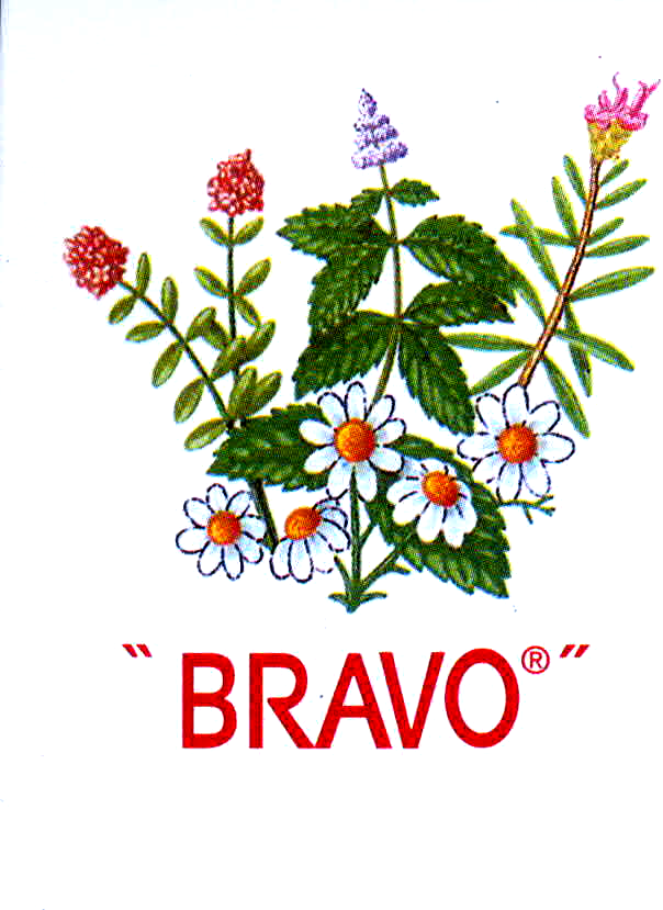 VICENTE BRAVO SL