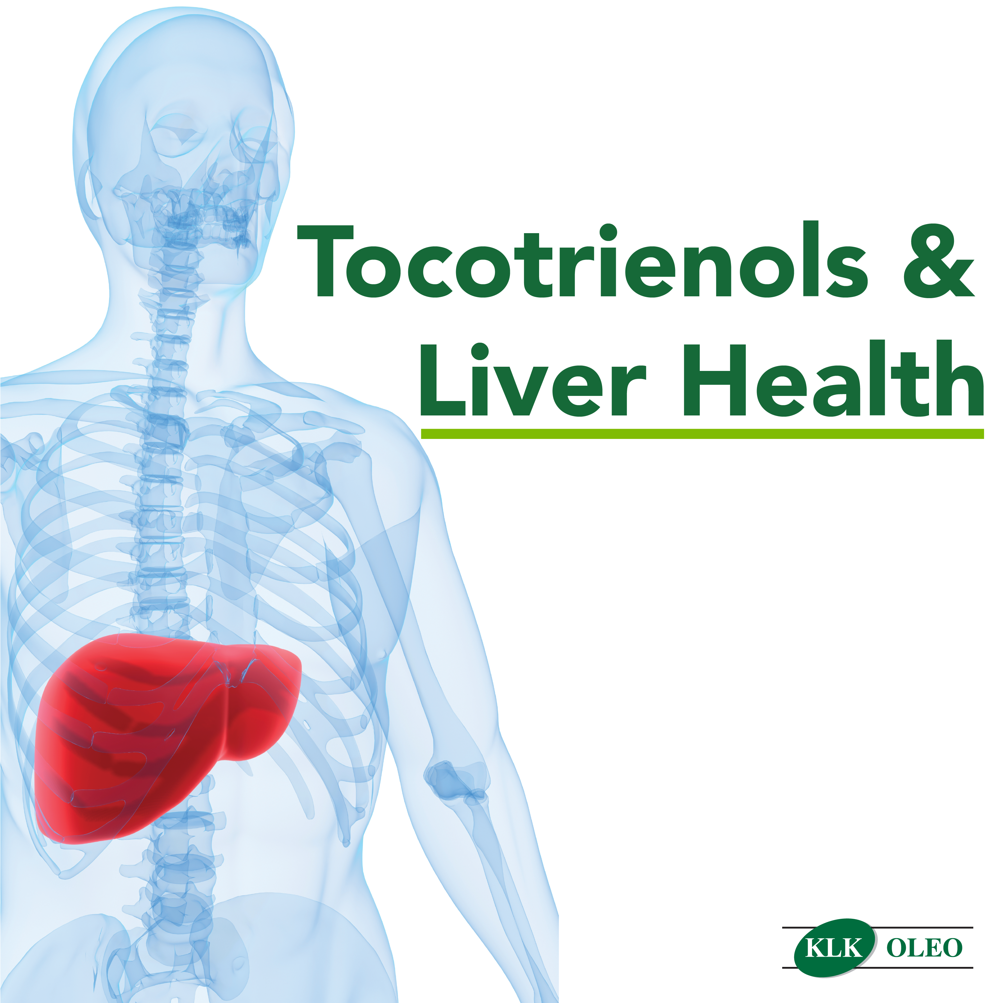 Keeping Liver Healthy with Tocotrienols