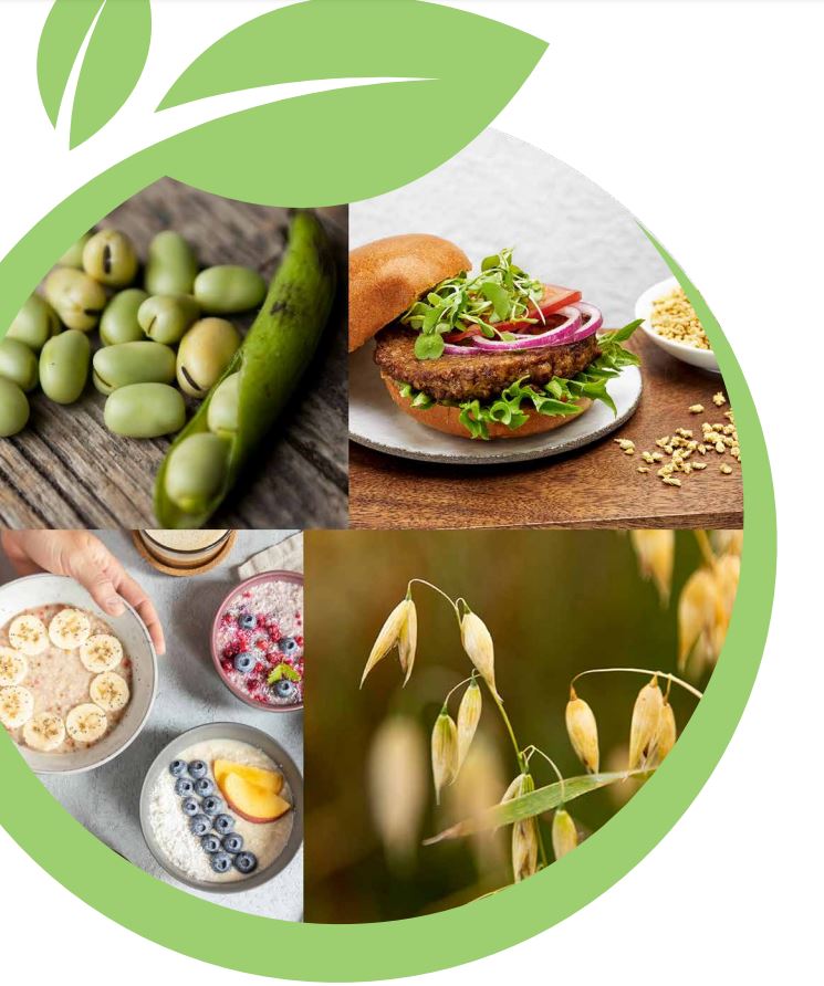 Raisio Food Solutions Healthy ingredients -assortment