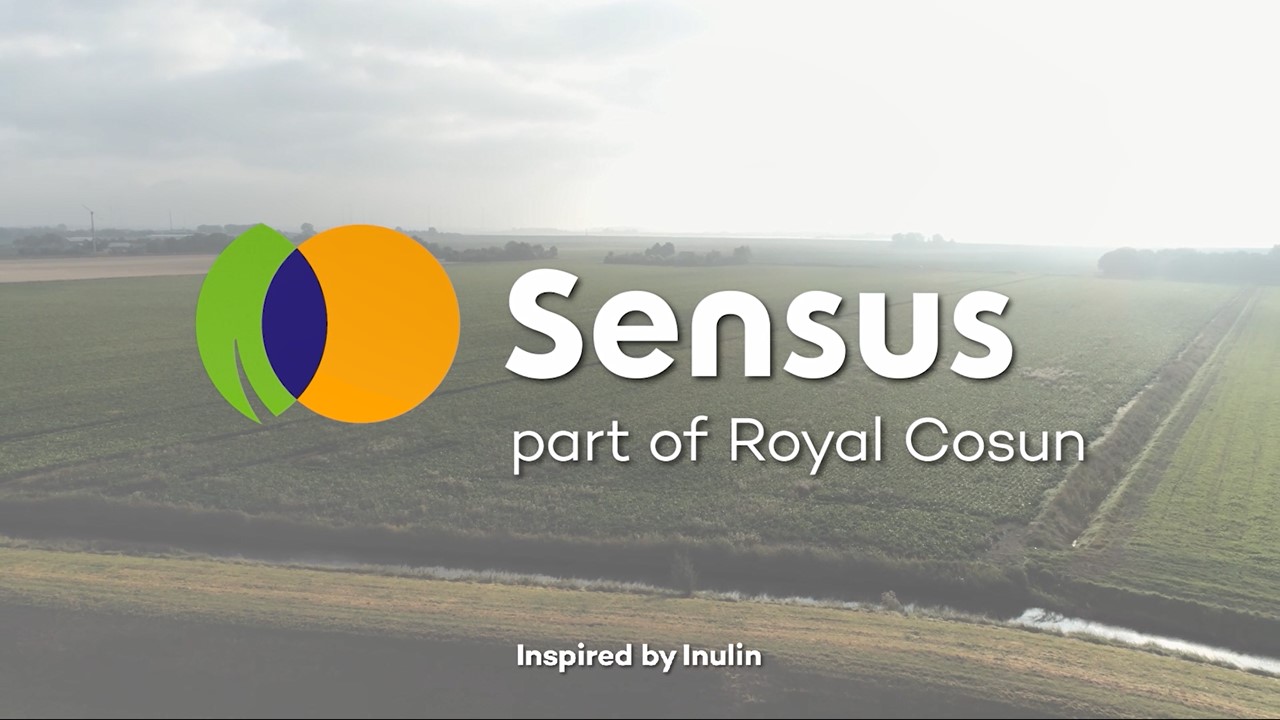 Sensus Corporate video
