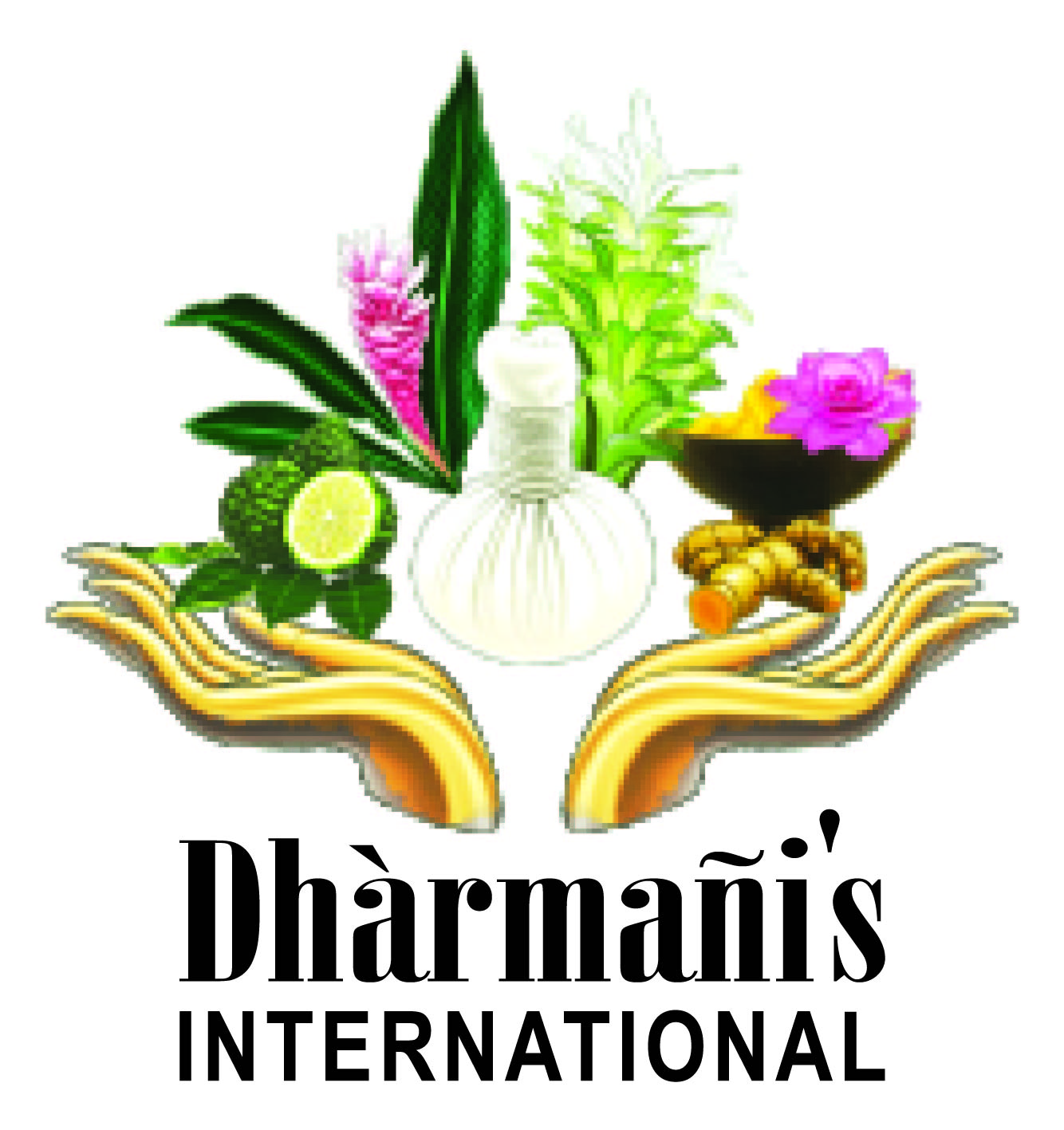 Dharmanis International