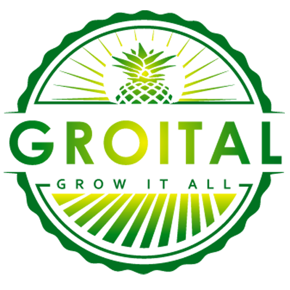Groital Company ltd