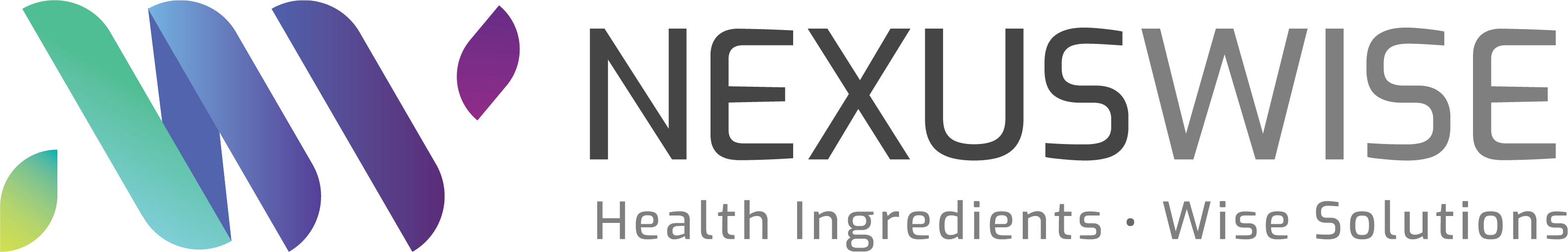 Nexus Wise Sdn Bhd