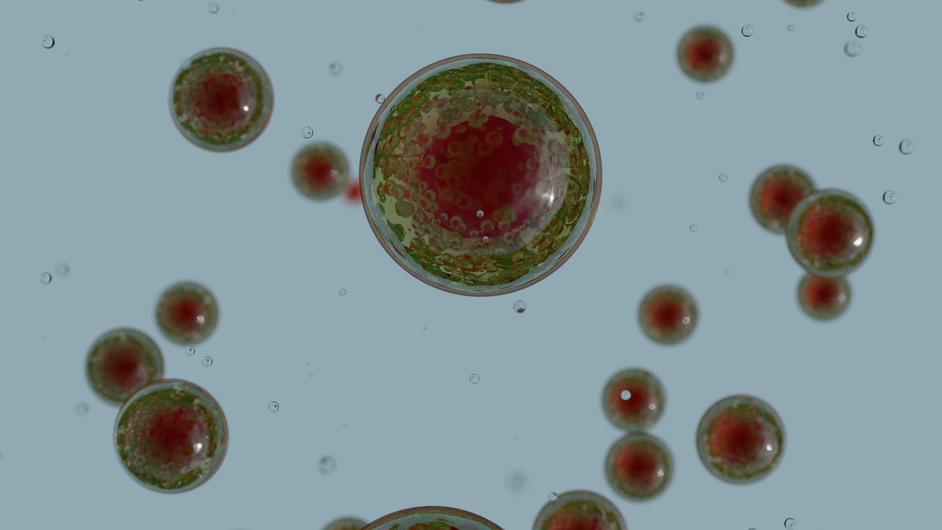 Infofolder astaxanthin