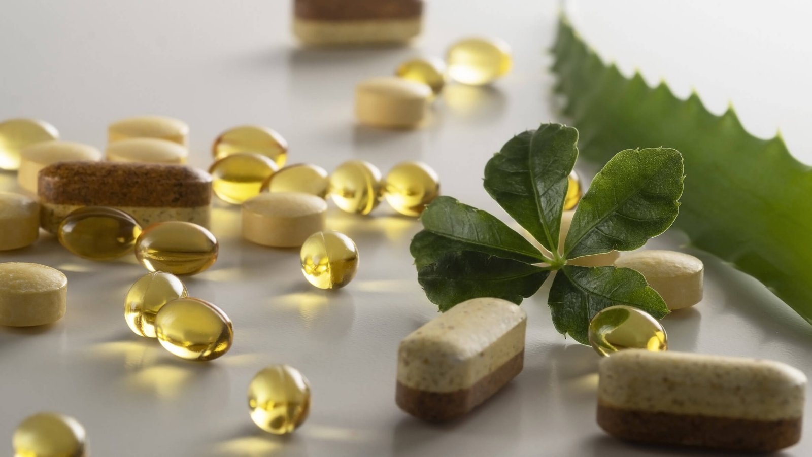 Quality Control Management of Nutraceuticals and Dietary Supplements