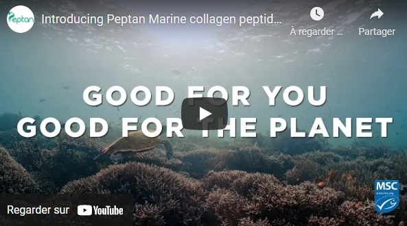 Peptan Marine collagen peptides: Watch our video