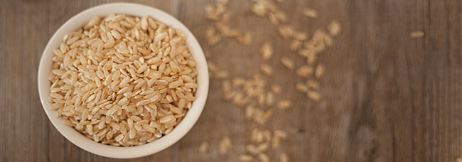 Rice Protein - The Essential Protein Source for daily life