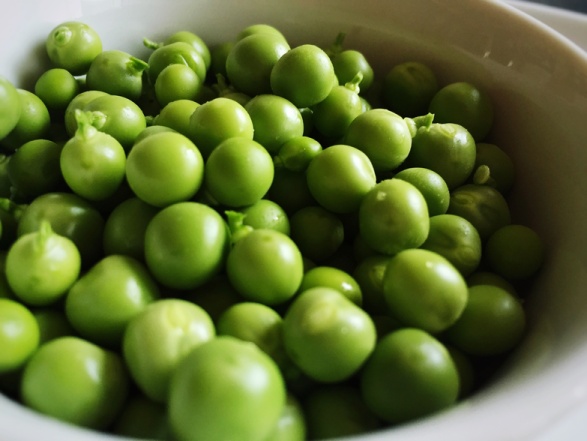 Separation technology extraction of plant proteins