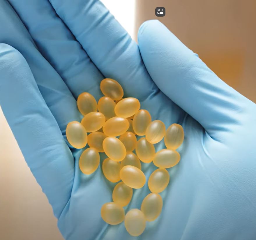 Soft gelatin capsules coated with BonuLac® E & BonuWax® | Process and result | BIOGRUND