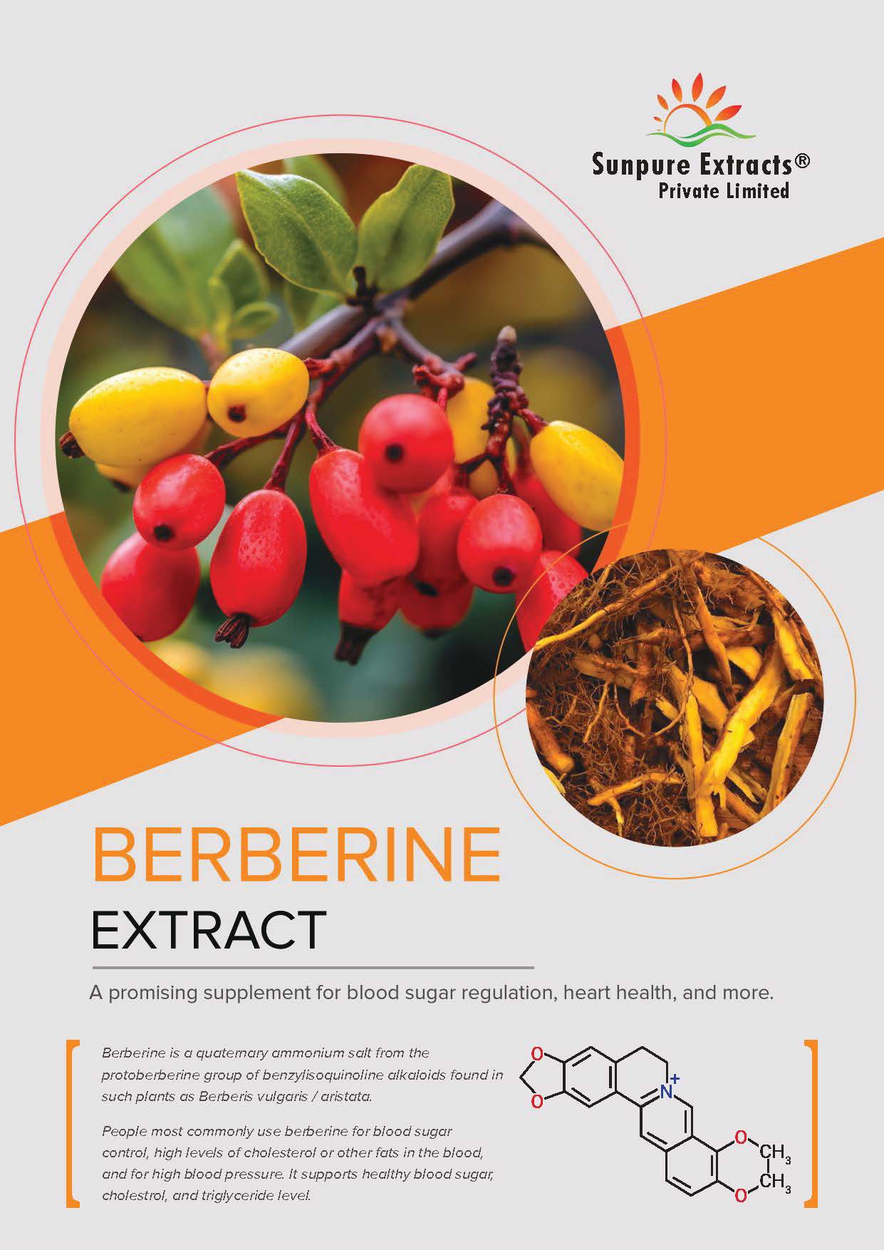BERBERINE HCL - THE NATURAL CHOICE FOR BLOOD SUGAR MANAGEMENT