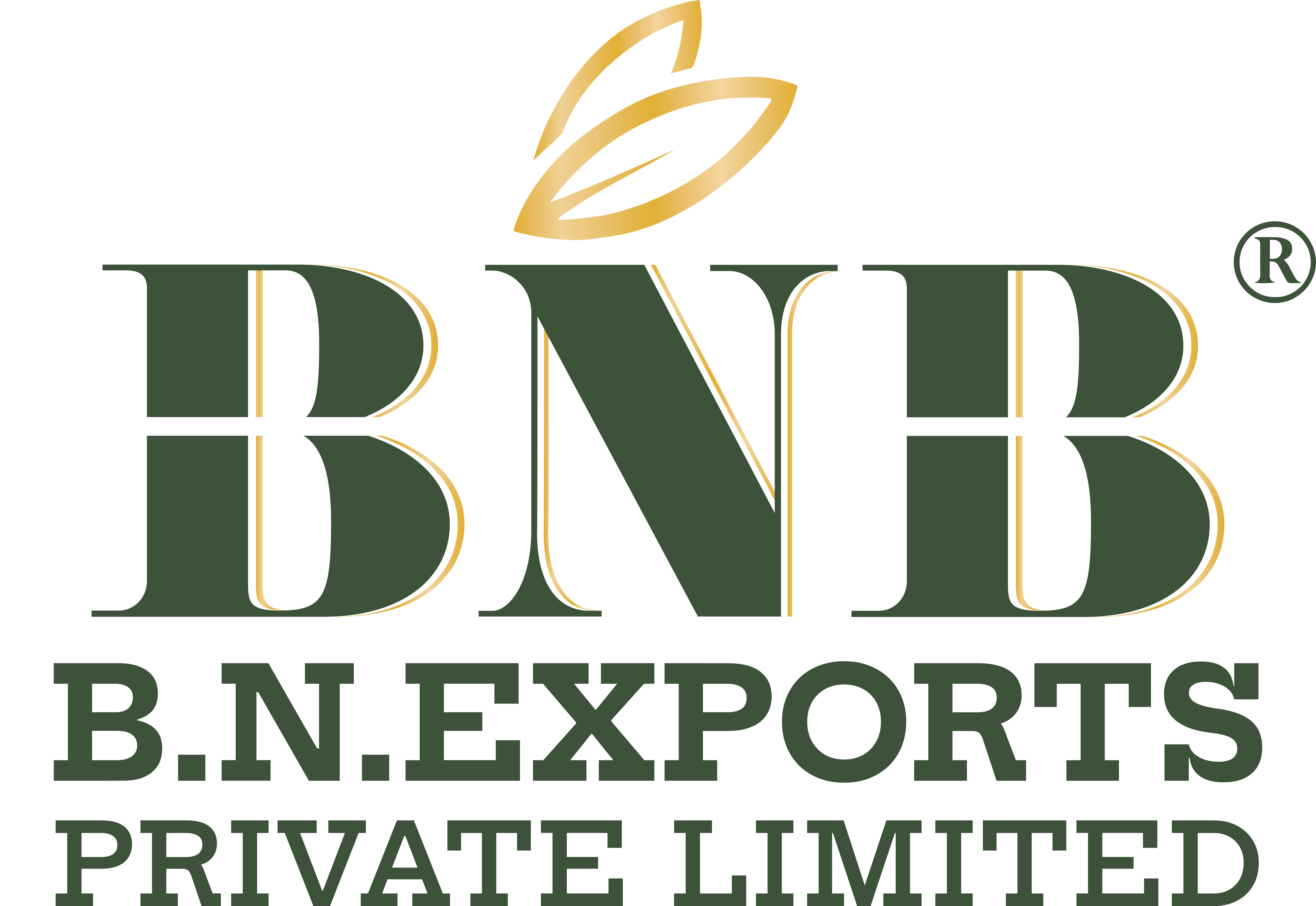 B. N. EXPORTS PVT. LTD
