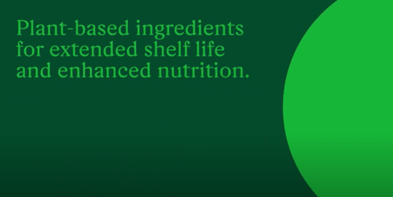 BTSA New Brand Identity