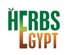 Herbs Egypt