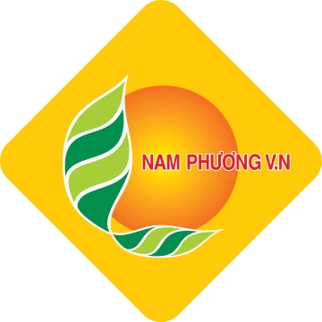 Nam Phuong V.N.