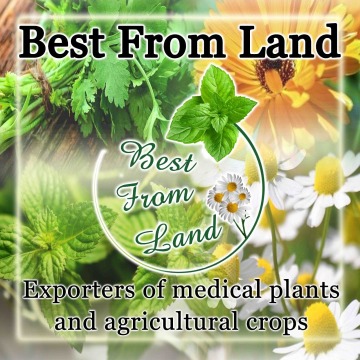 Best From Land Co.