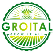 Groital Company ltd