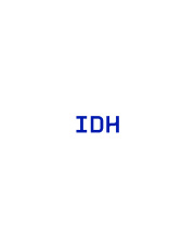 IDH Industrile Diensten Heino BV