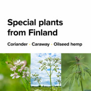 Special plants from Finland
