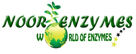 NOOR ENZYMES