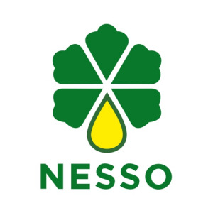 Nesso