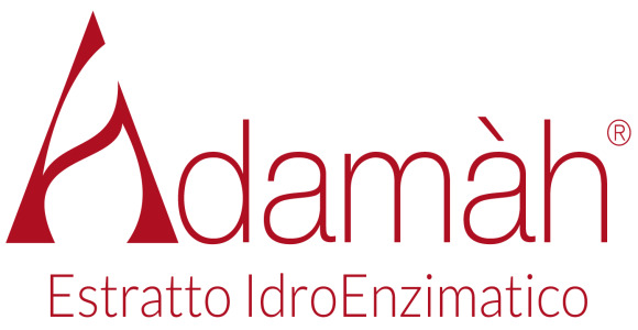 Adamàh S.r.l.