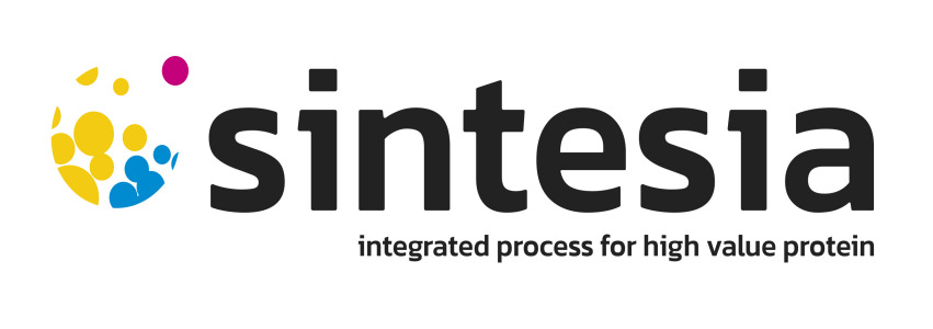 Sintesia Protein
