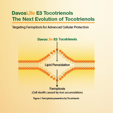 The Next Evolution of Tocotrienols: Targeting Ferroptosis for Advanced Cellular Protection