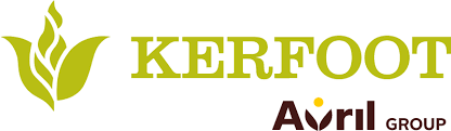KERFOOT GROUP