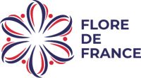 Flore de France
