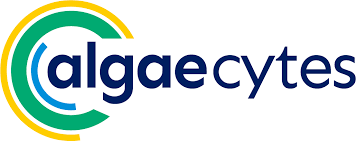 Algaecytes
