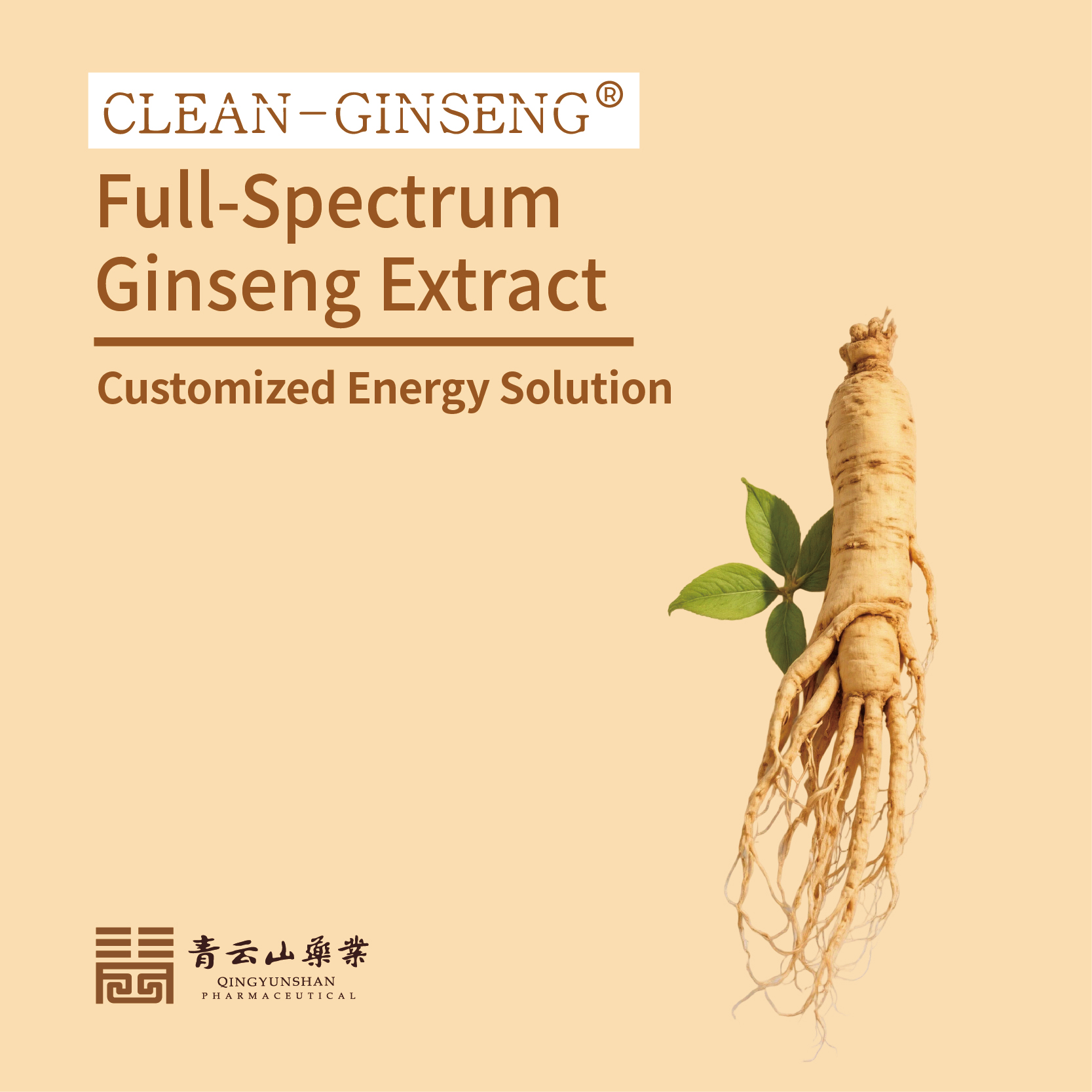 TECH-INNO Ginseng Extract Whitepaper