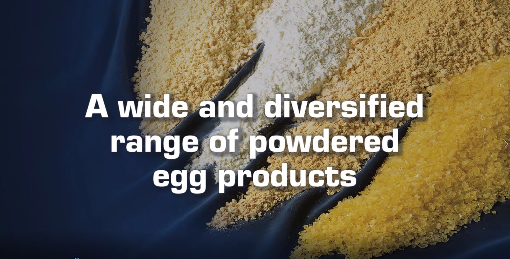Eurovo Group - Egg Powders