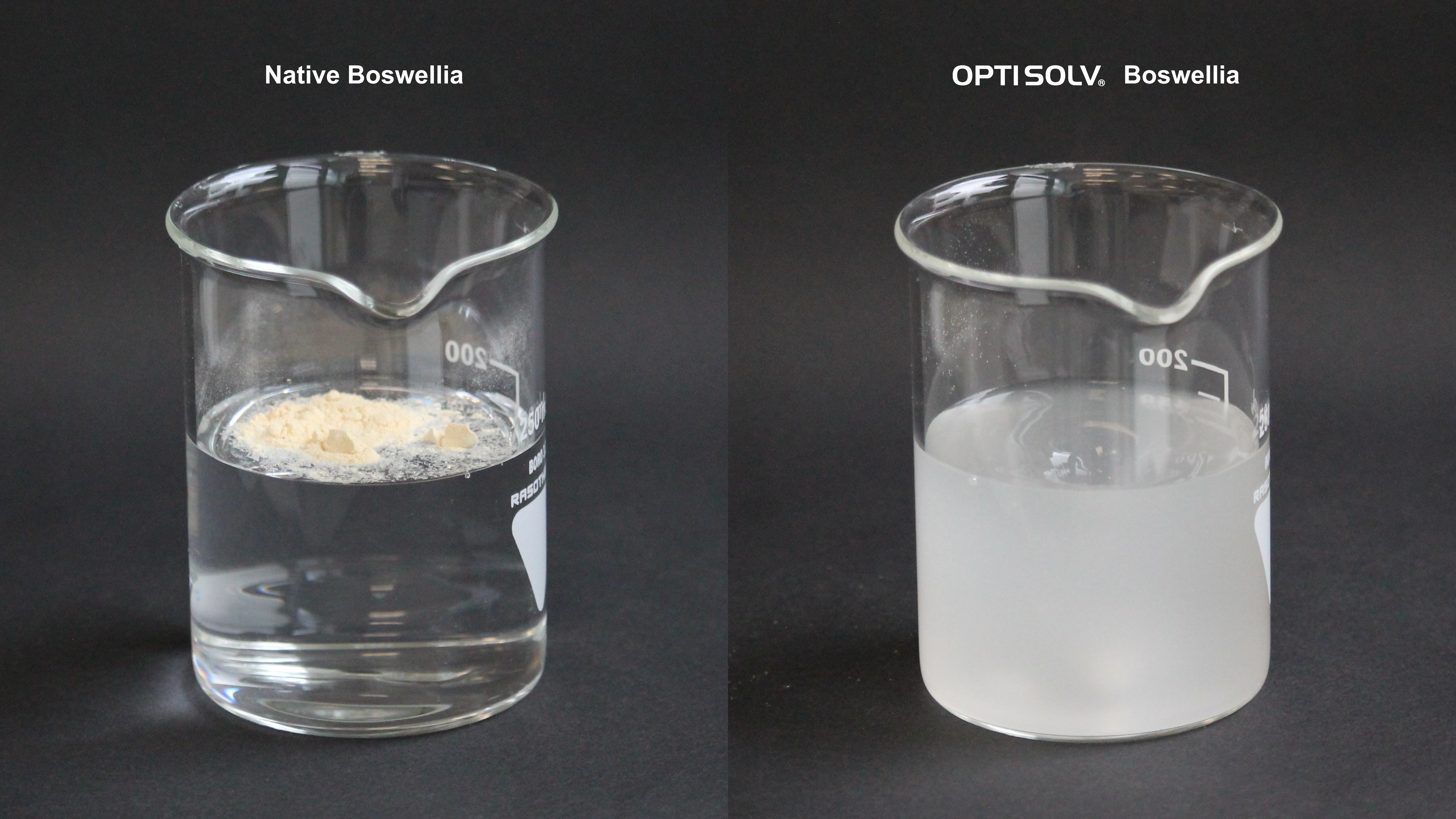 OPTISOLV® Boswellia Dissolution