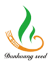 GANSU DUNHUANG SEED FRUIT &VEGETABLE PRODUCTS CO., LTD.