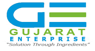 Gujarat Enterprise