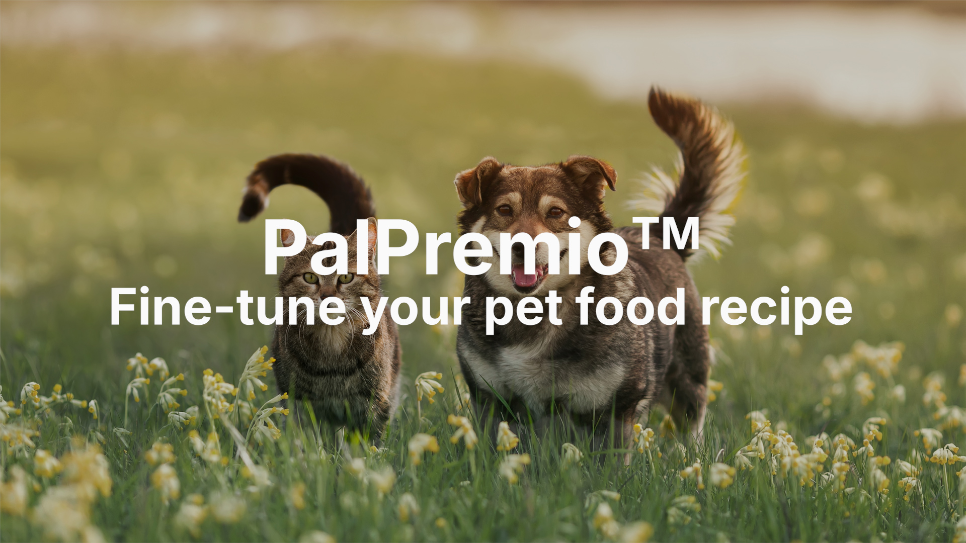 Introducing PalPremio™