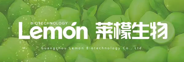 Corporate Introduction