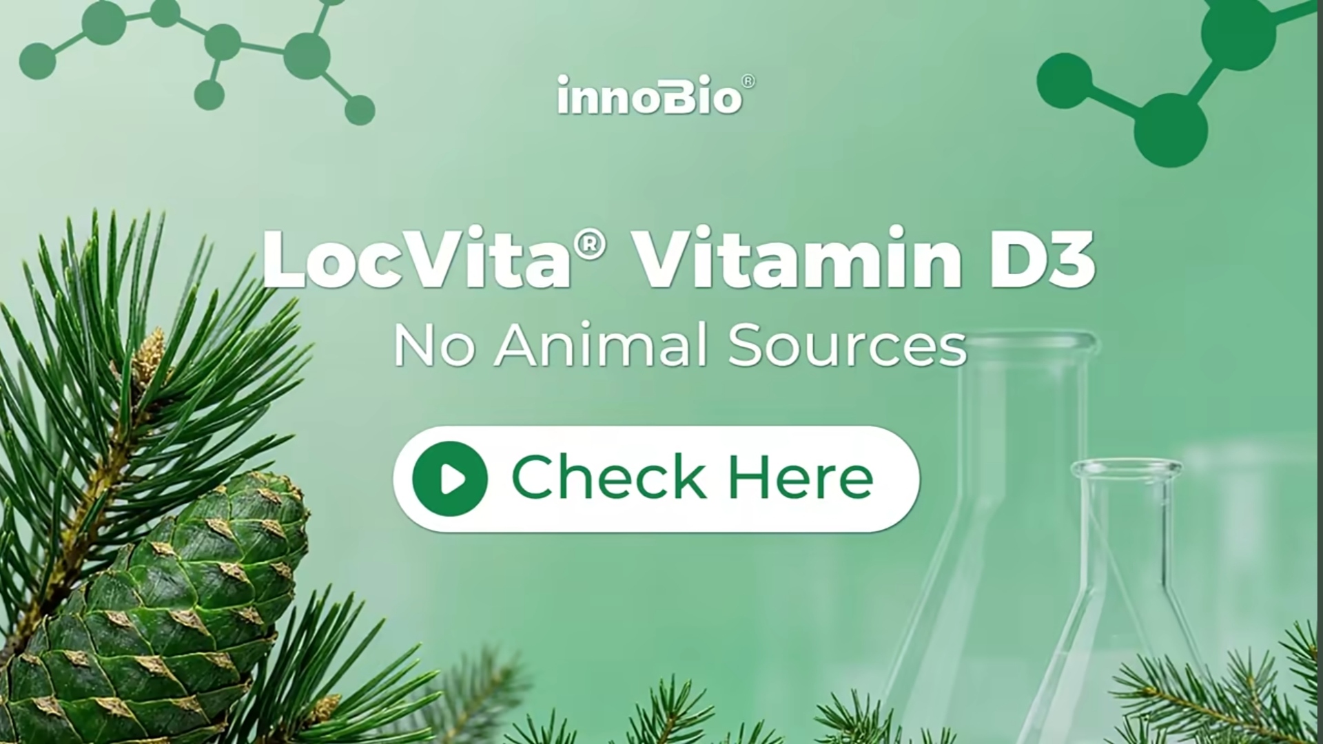 LocVita  Vitamin D3: Pine Based, Traceable, No Animal Sources