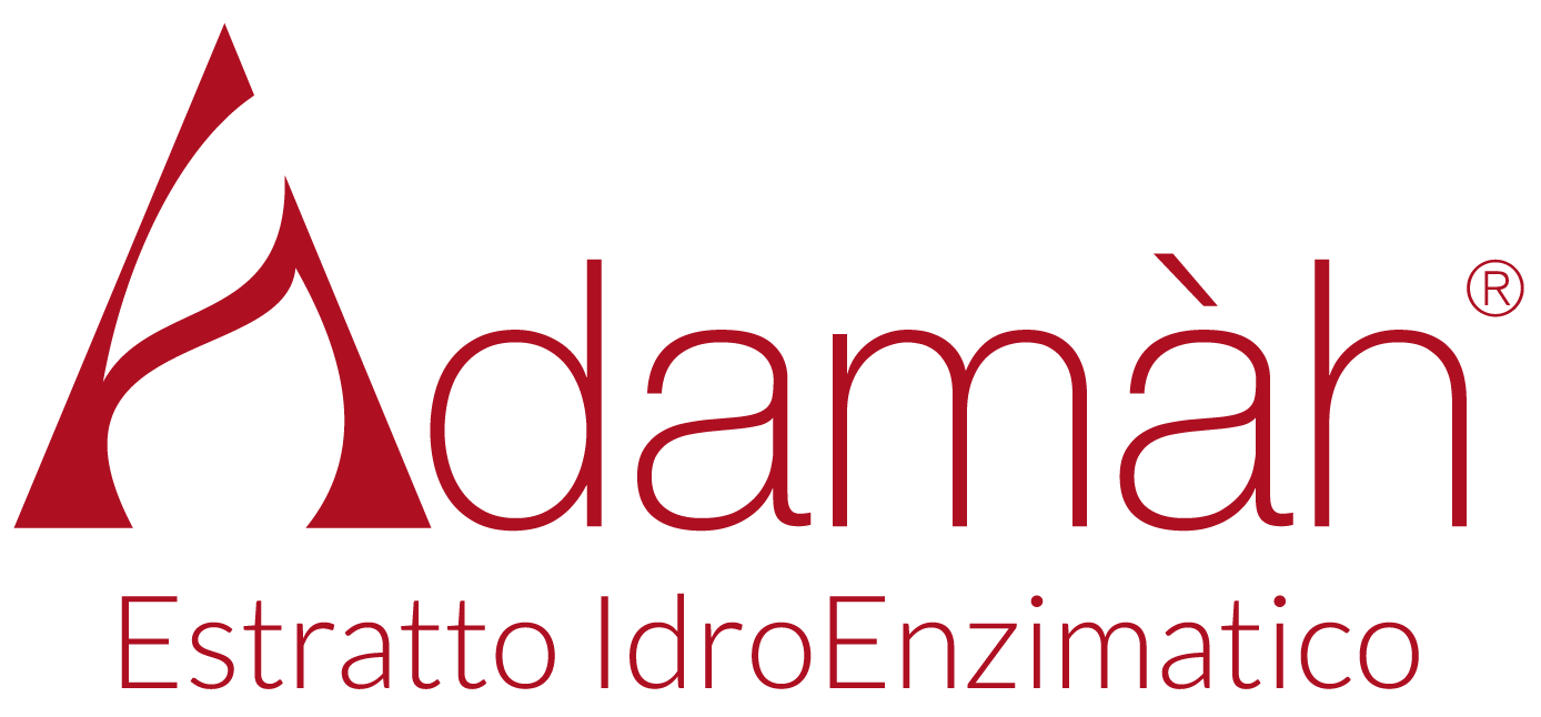 Adamàh S.r.l.