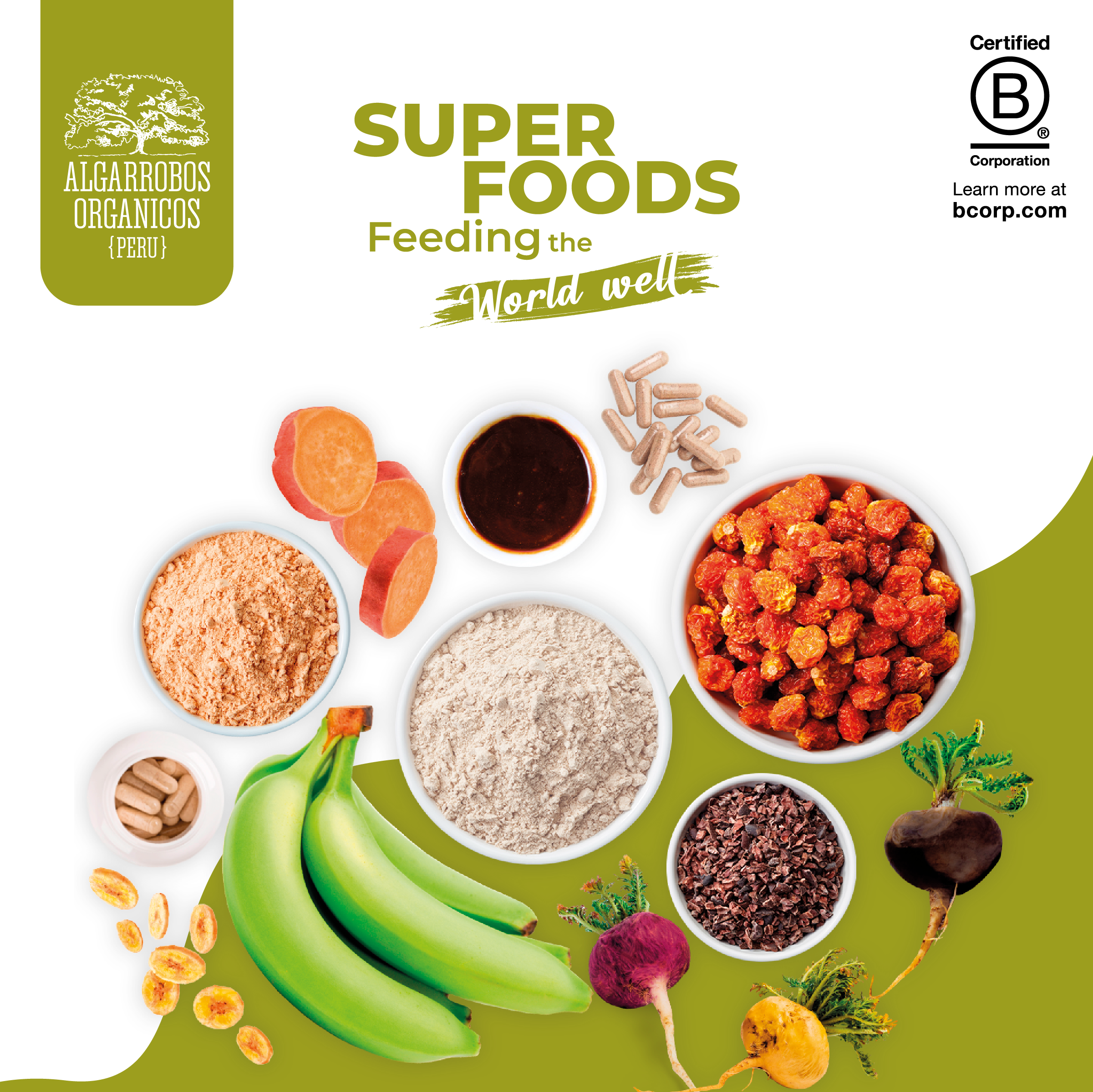 BROCHURE - PRODUCTS